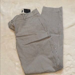Express pants